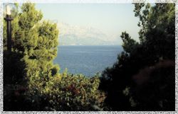 Holiday Omis